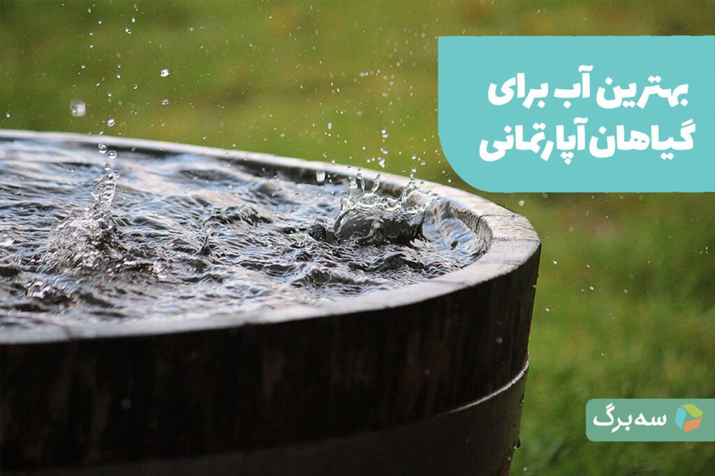 بهترین آب برای گیاهان آپارتمانی