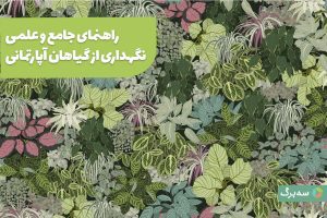 راهنمای جامع و علمی نگهداری از گیاهان آپارتمانی