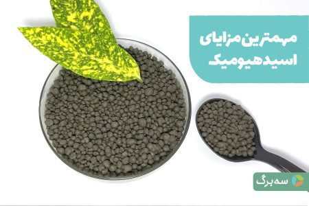 اسید هیومیک چیست و چه کاربرد‌هایی دارد