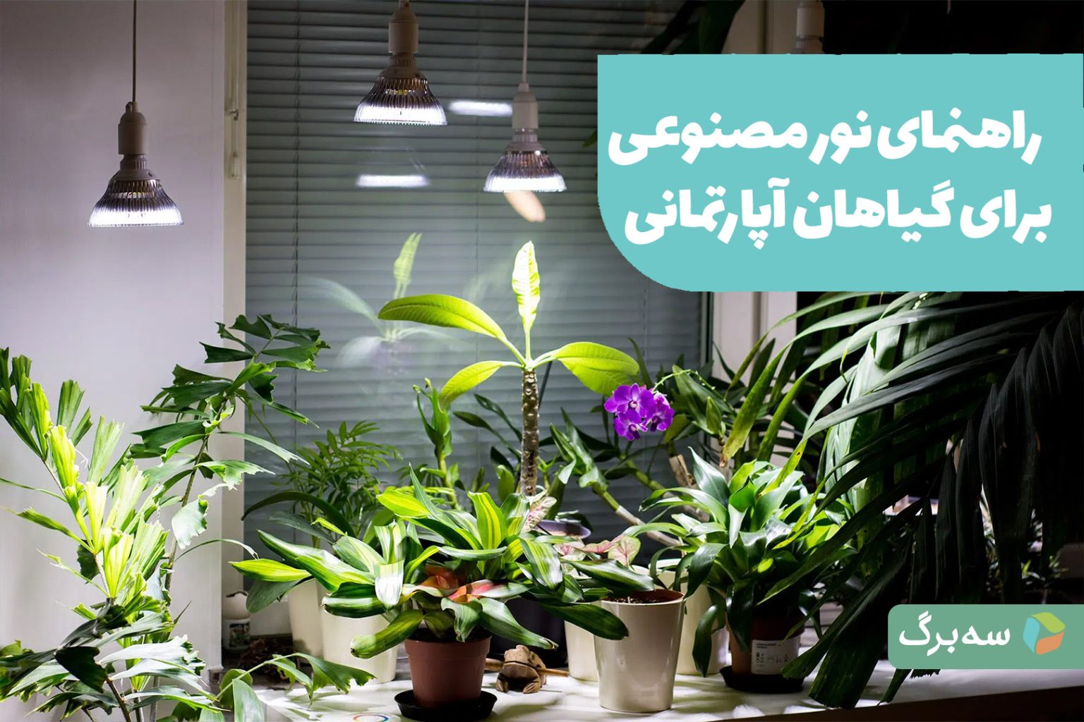 نور مصنوعی برای رشد گیاهان آپارتمانی