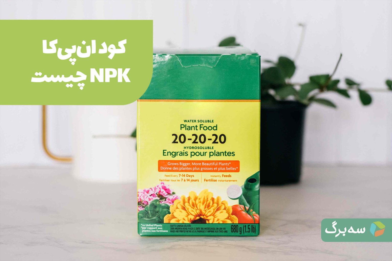 کود NPK برای گیاهان آپارتمانی