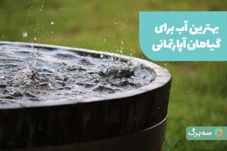 بهترین آب برای گیاهان آپارتمانی