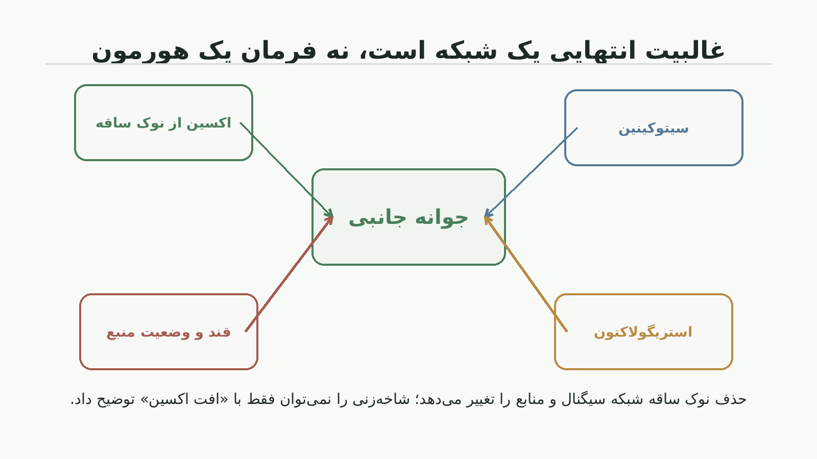 نمودار شبکه غالبیت انتهایی با اکسین، سیتوکینین، استریگولاکتون و وضعیت قند و منبع