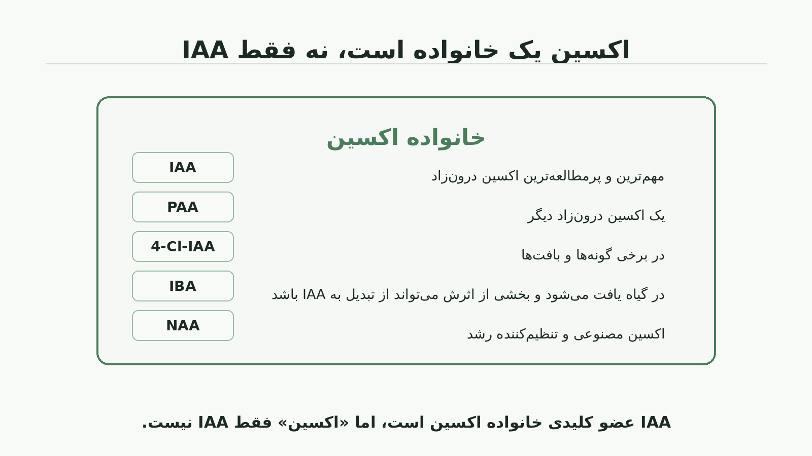 نمودار تفاوت خانواده اکسین با IAA و جایگاه PAA، 4-Cl-IAA، IBA و NAA