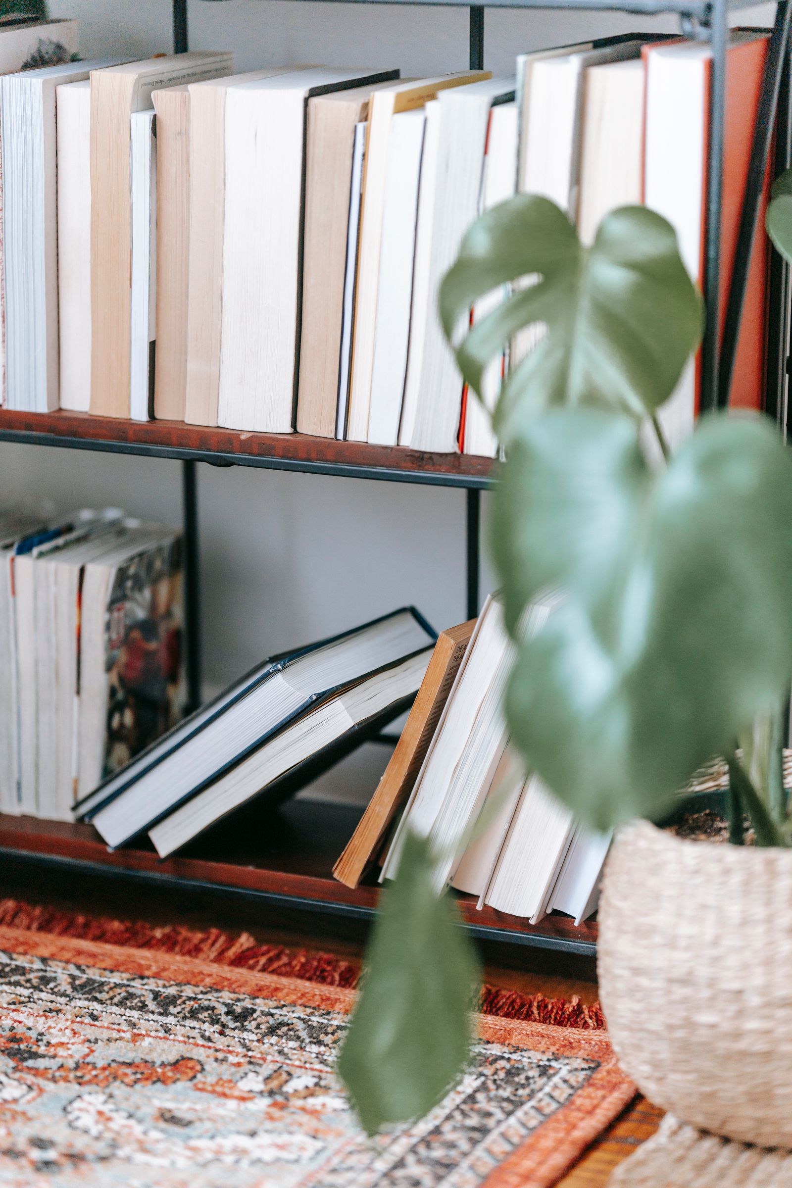 قفسه کتاب با کتابهایی در اندازههای متفاوت برای بررسی فاصله طبقات
