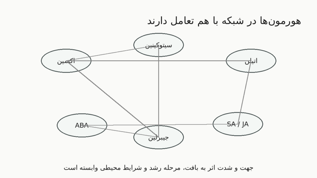 نمودار شبکه برهم‌کنش میان اکسین سیتوکینین اتیلن ABA جیبرلین و SA JA